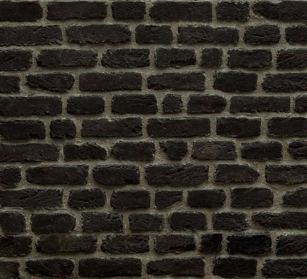 516 Dark